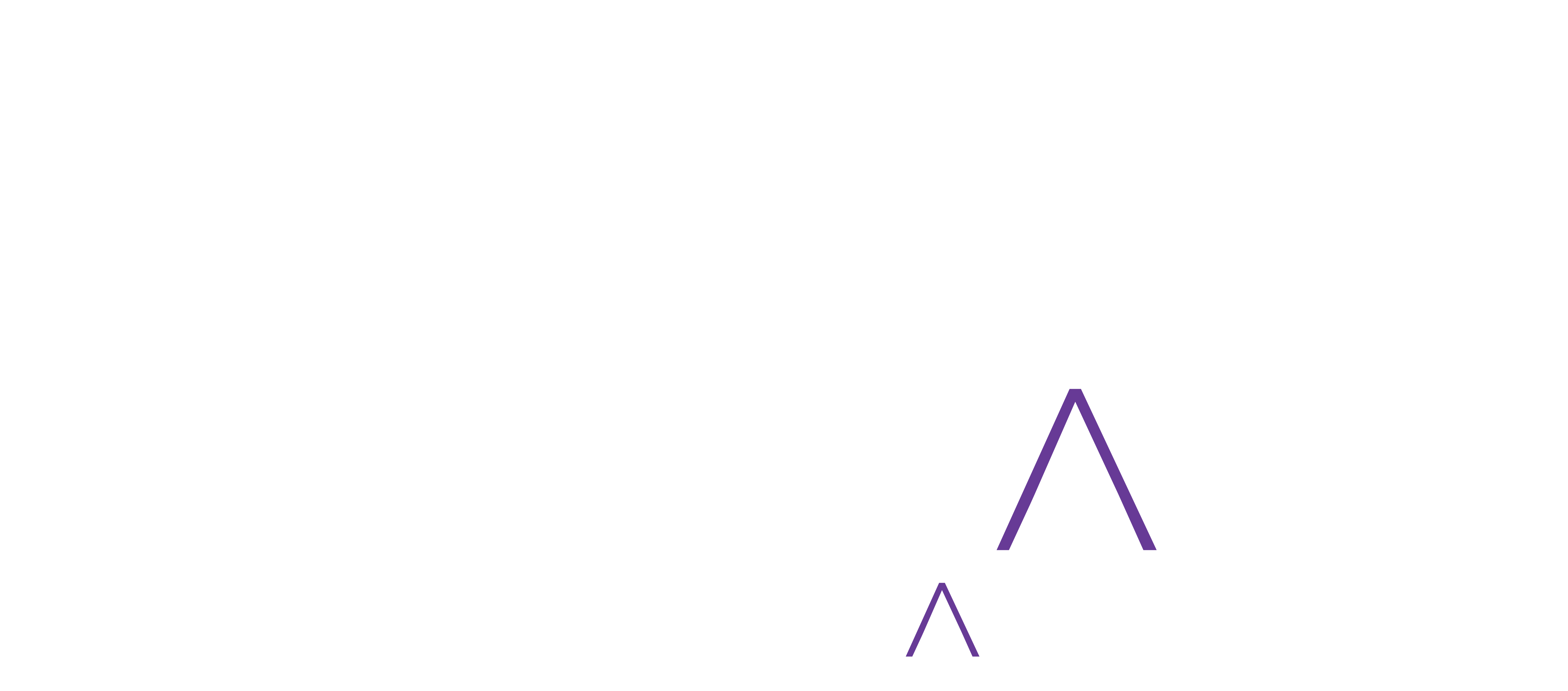 Pinnacle Medical Group